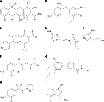 FIG. 8.