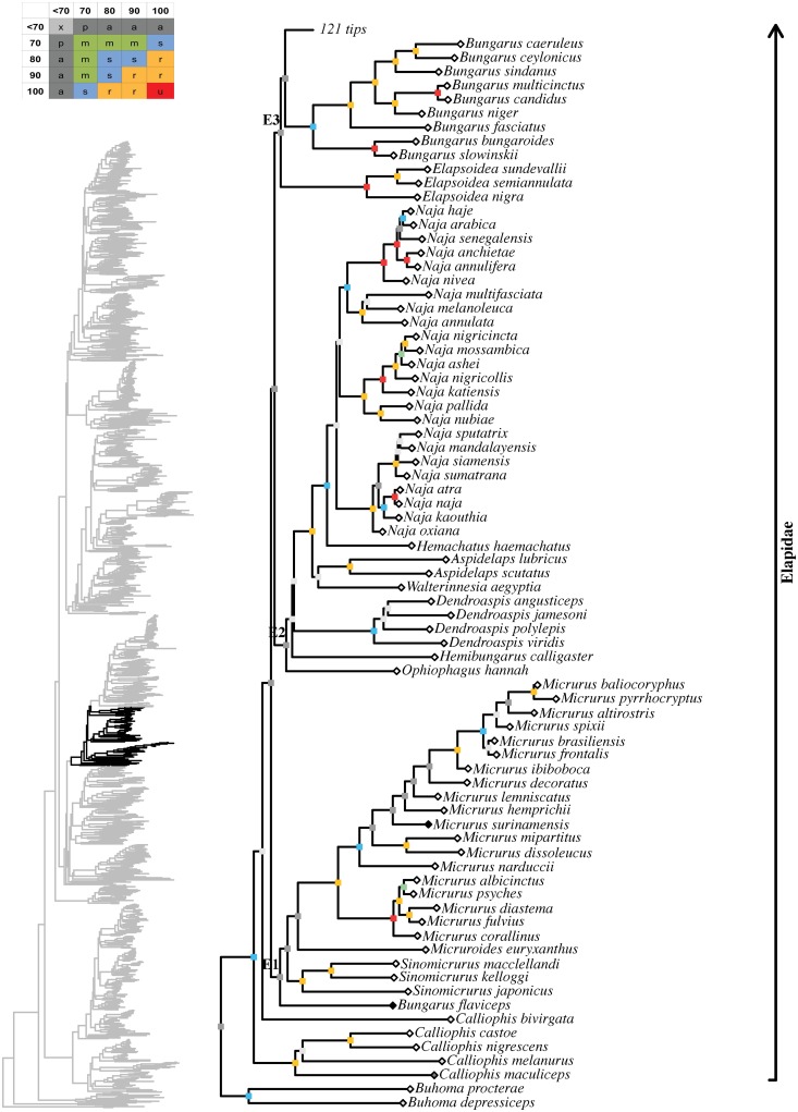 Fig 12