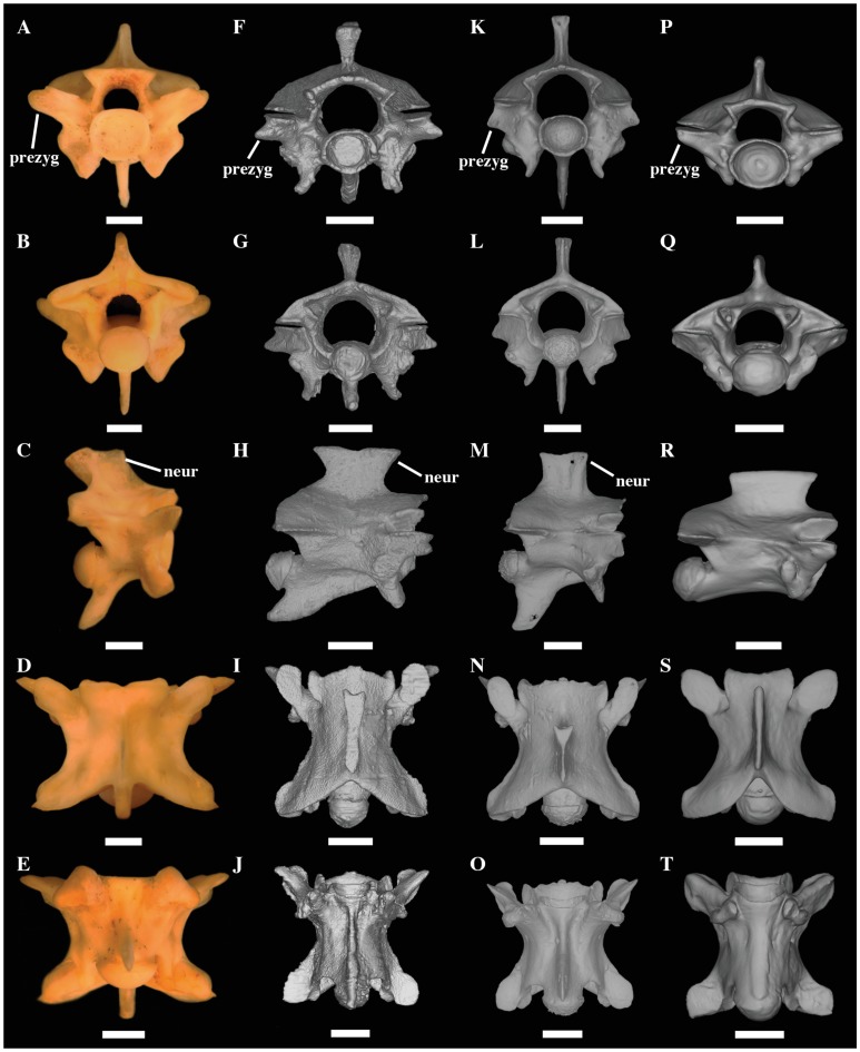 Fig 25