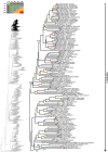 Fig 21