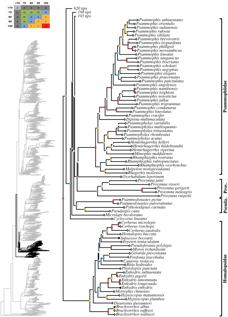 Fig 10