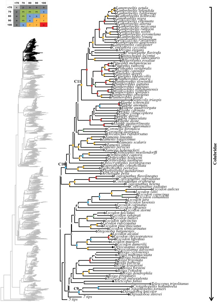 Fig 21