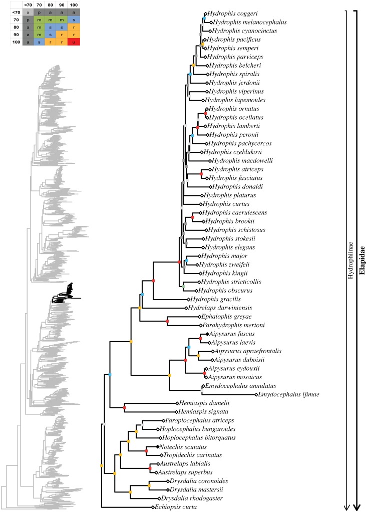 Fig 14