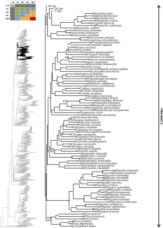 Fig 20