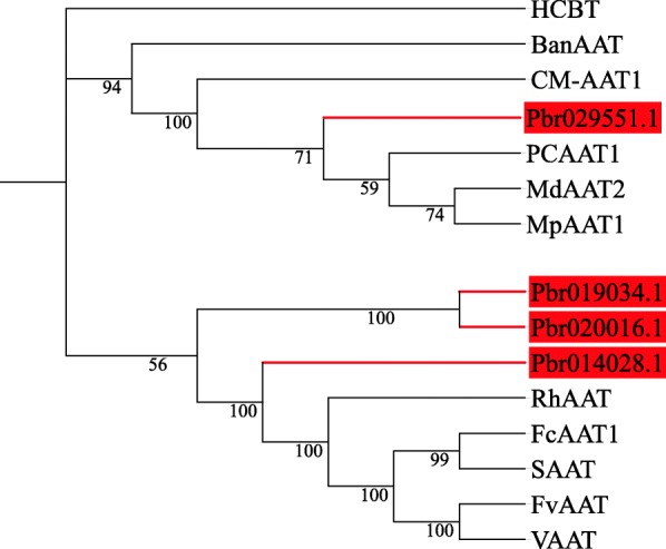 Fig. 9