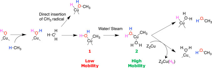 Scheme 3