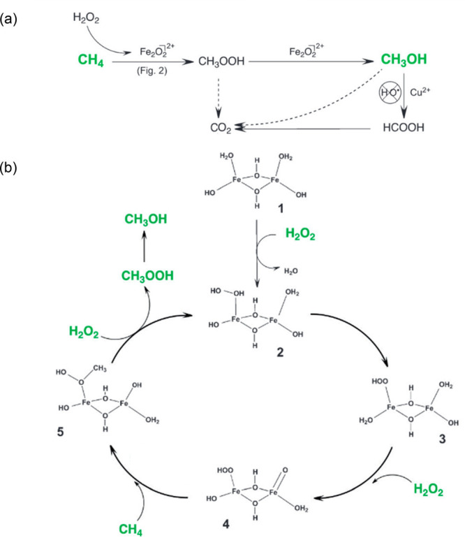 Figure 20