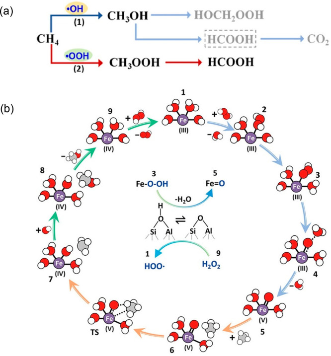 Figure 21