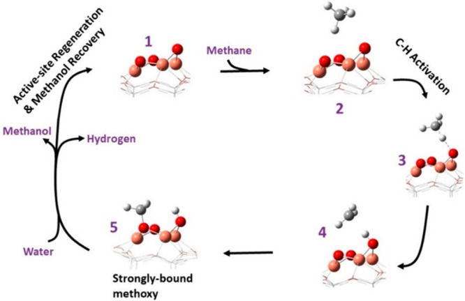 Scheme 5