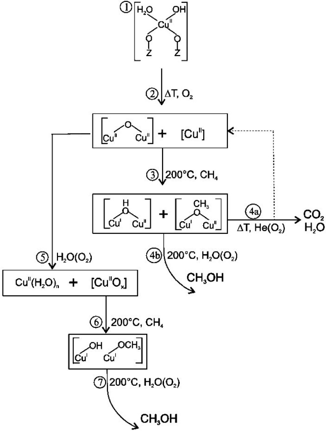 Scheme 4