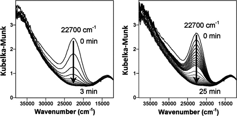 Figure 31