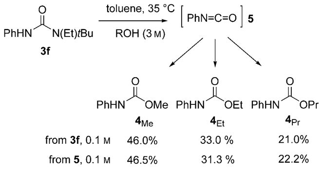 Scheme 3