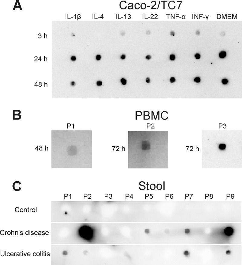 Fig 7