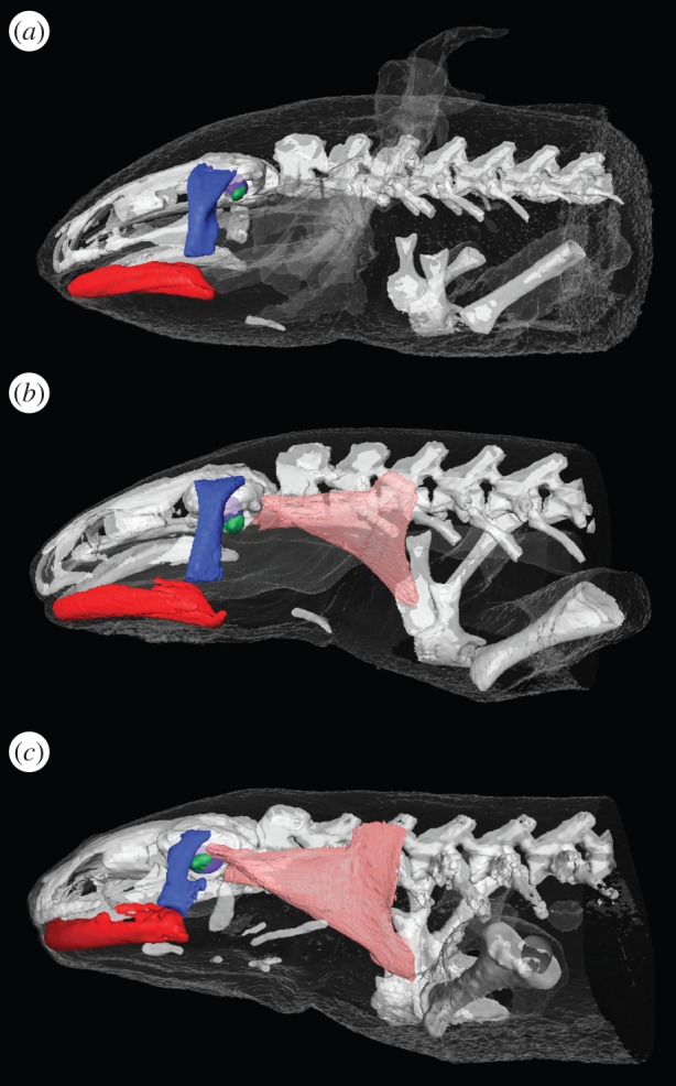 Figure 2.