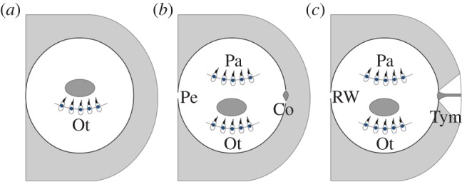 Figure 1.