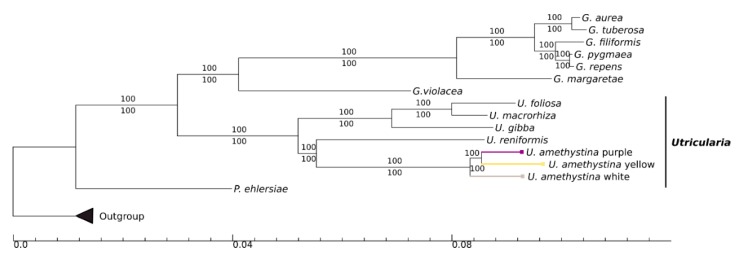 Figure 9