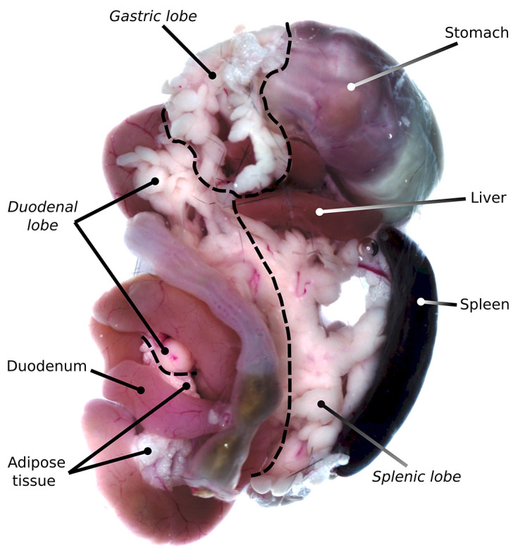 Figure 2.