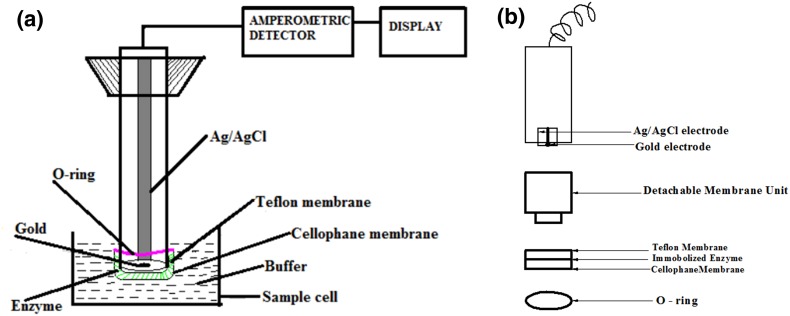 Fig. 1