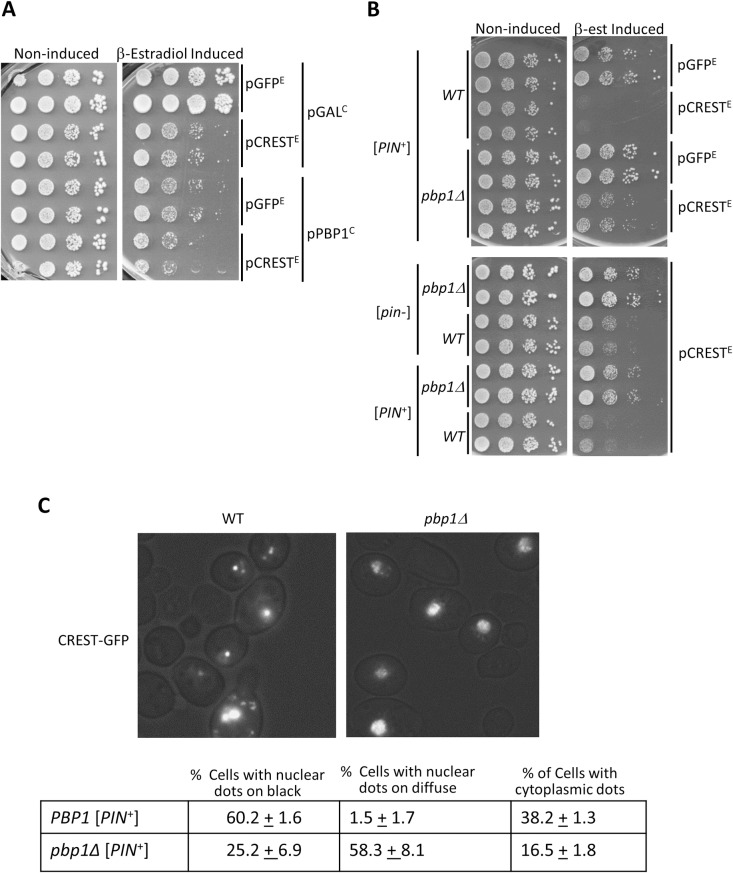 Fig 6