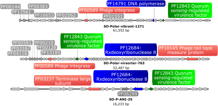 FIG 3