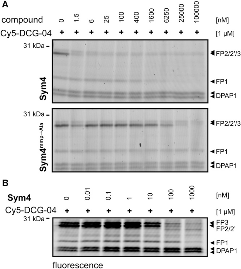 Figure 4