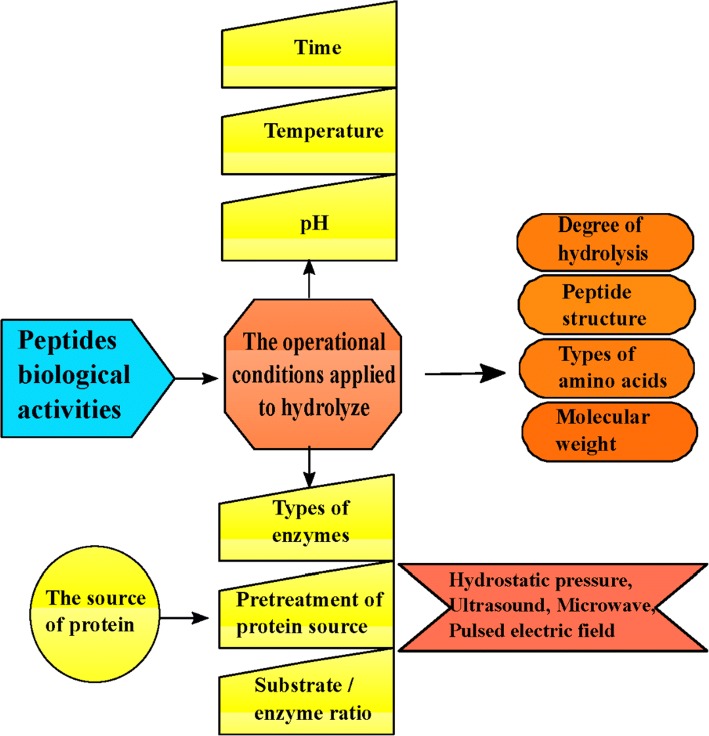 Fig. 2