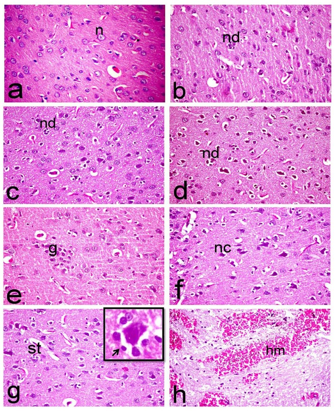 Fig 5