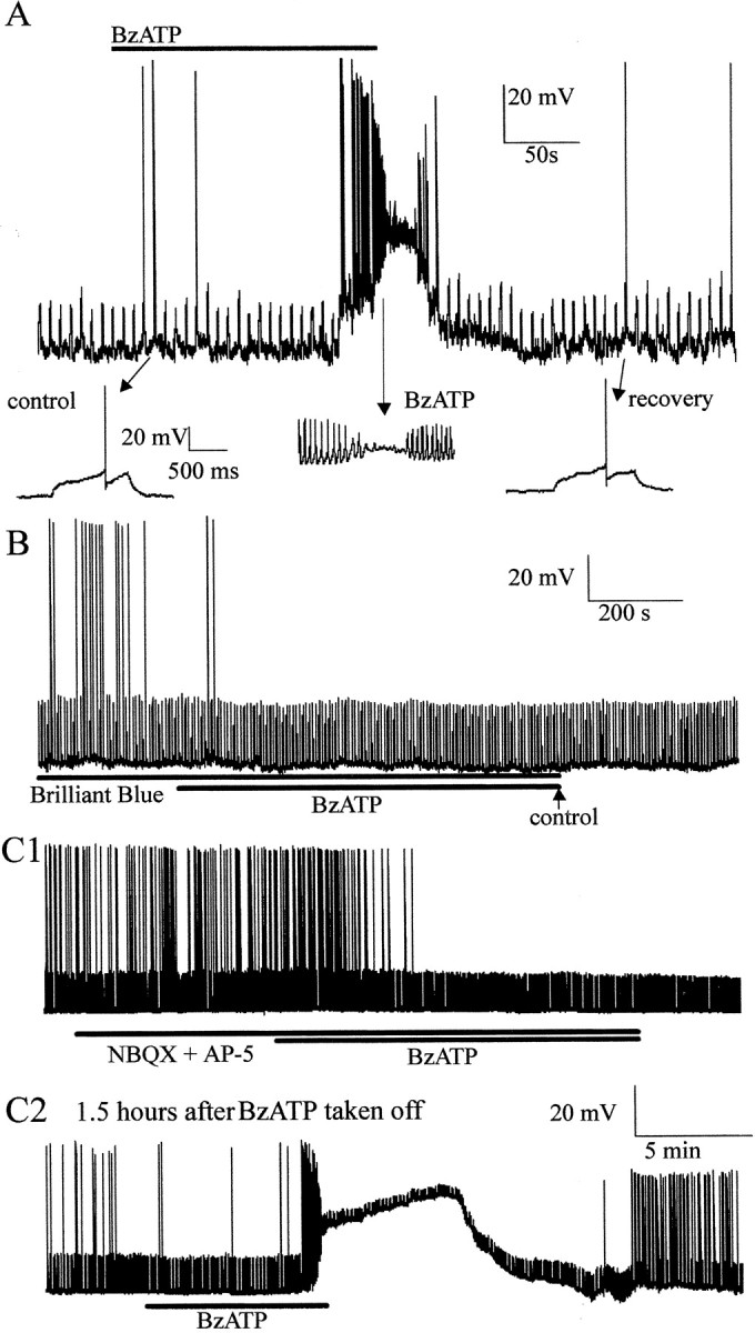 Fig. 6.