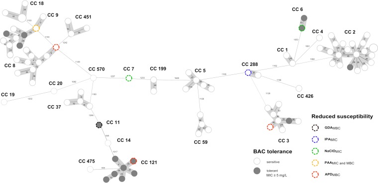 FIG 2