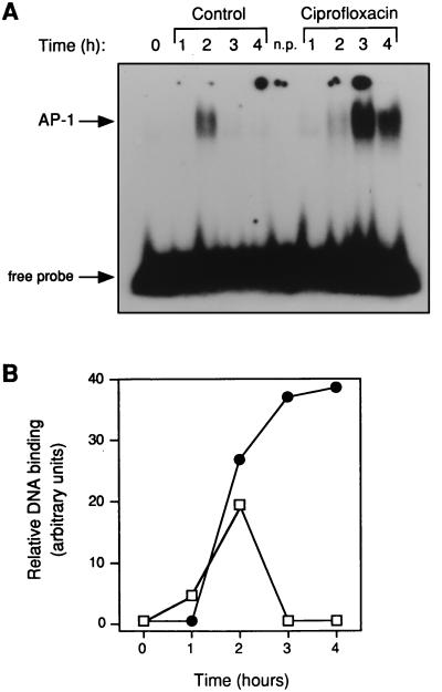 FIG. 3