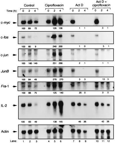 FIG. 6