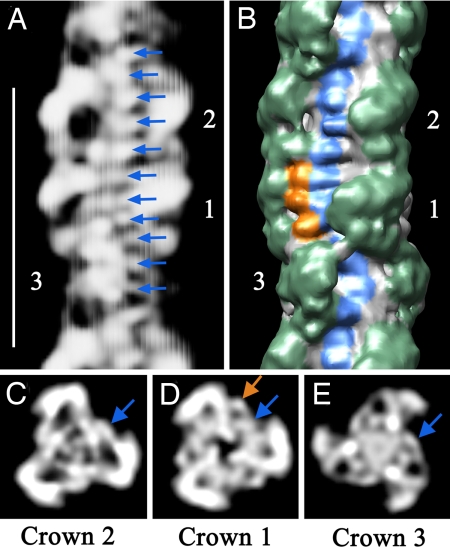 Fig. 3.