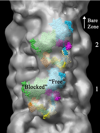 Fig. 2.