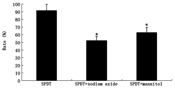 Figure 7.