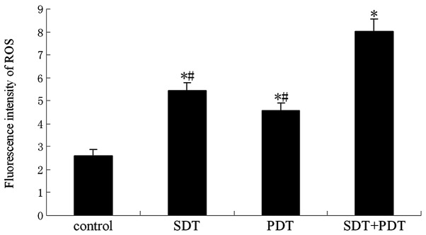 Figure 6.