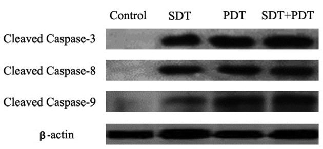 Figure 5.