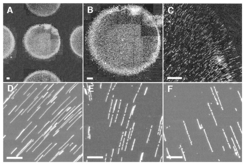 Figure 56