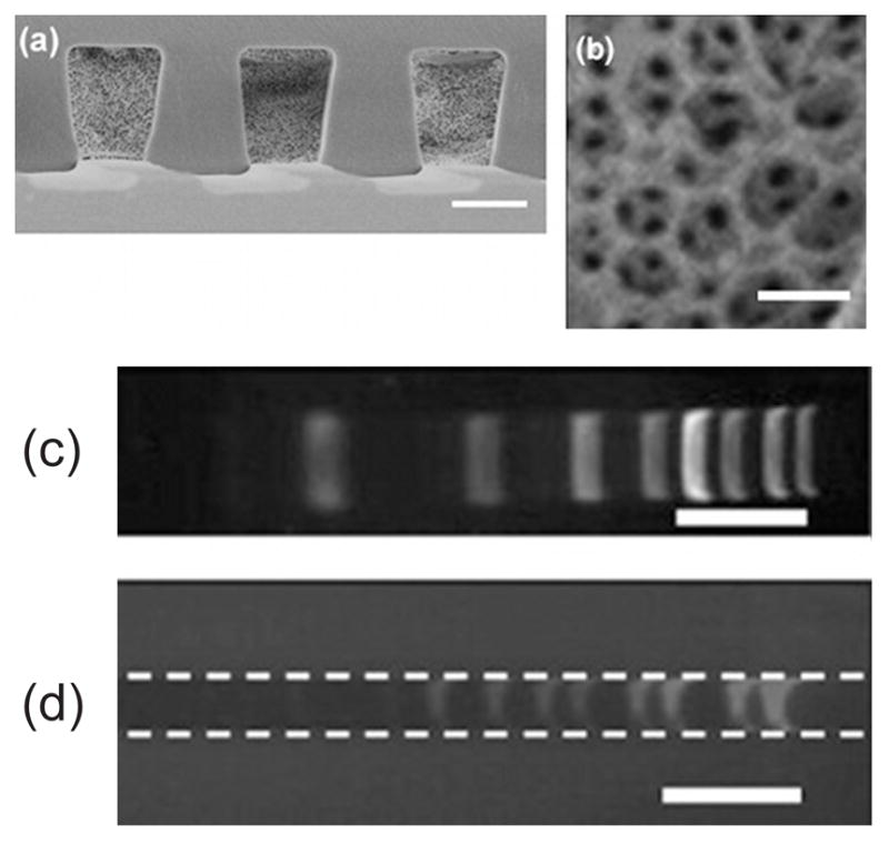 Figure 38