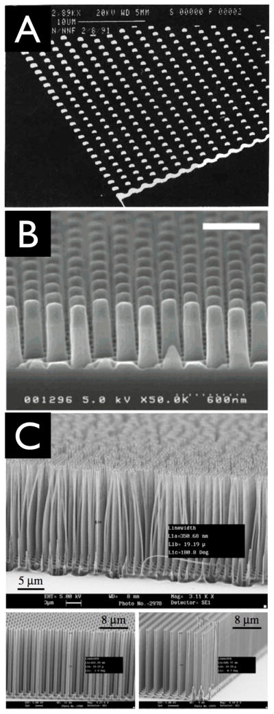 Figure 29