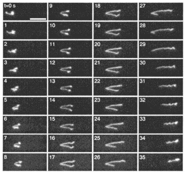 Figure 47