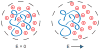 Figure 39
