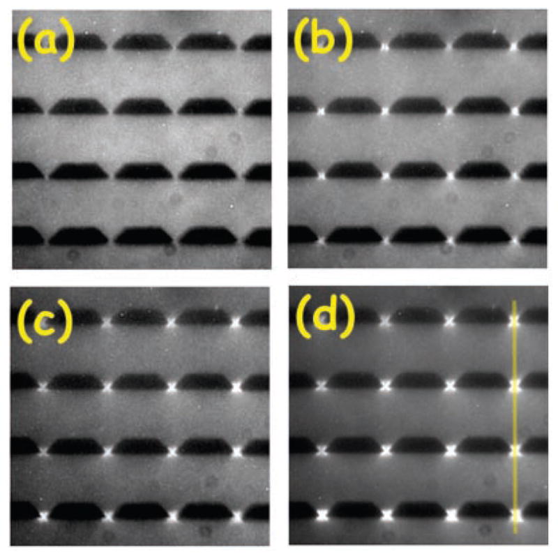 Figure 41