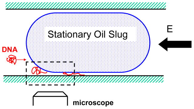 Figure 36