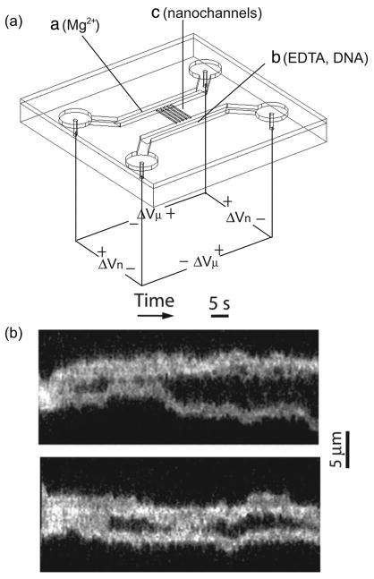 Figure 60