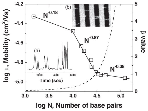 Figure 46