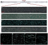 Figure 57