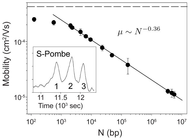 Figure 45