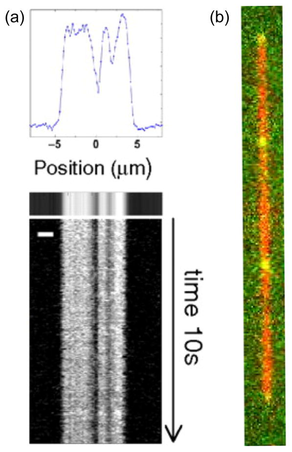 Figure 61