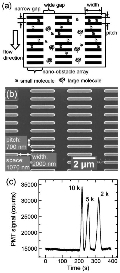 Figure 31