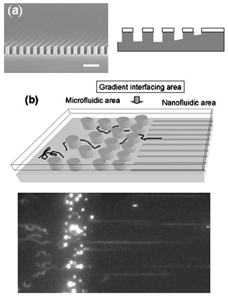 Figure 59